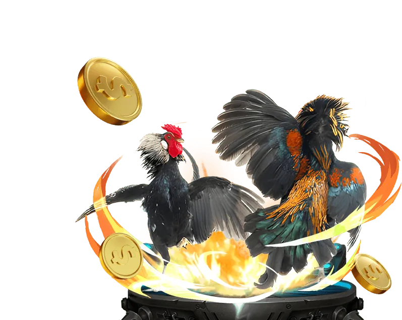 Đá gà cựa dao, cựa sắt